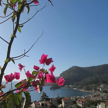 Lejlighedshotel Serena Suites